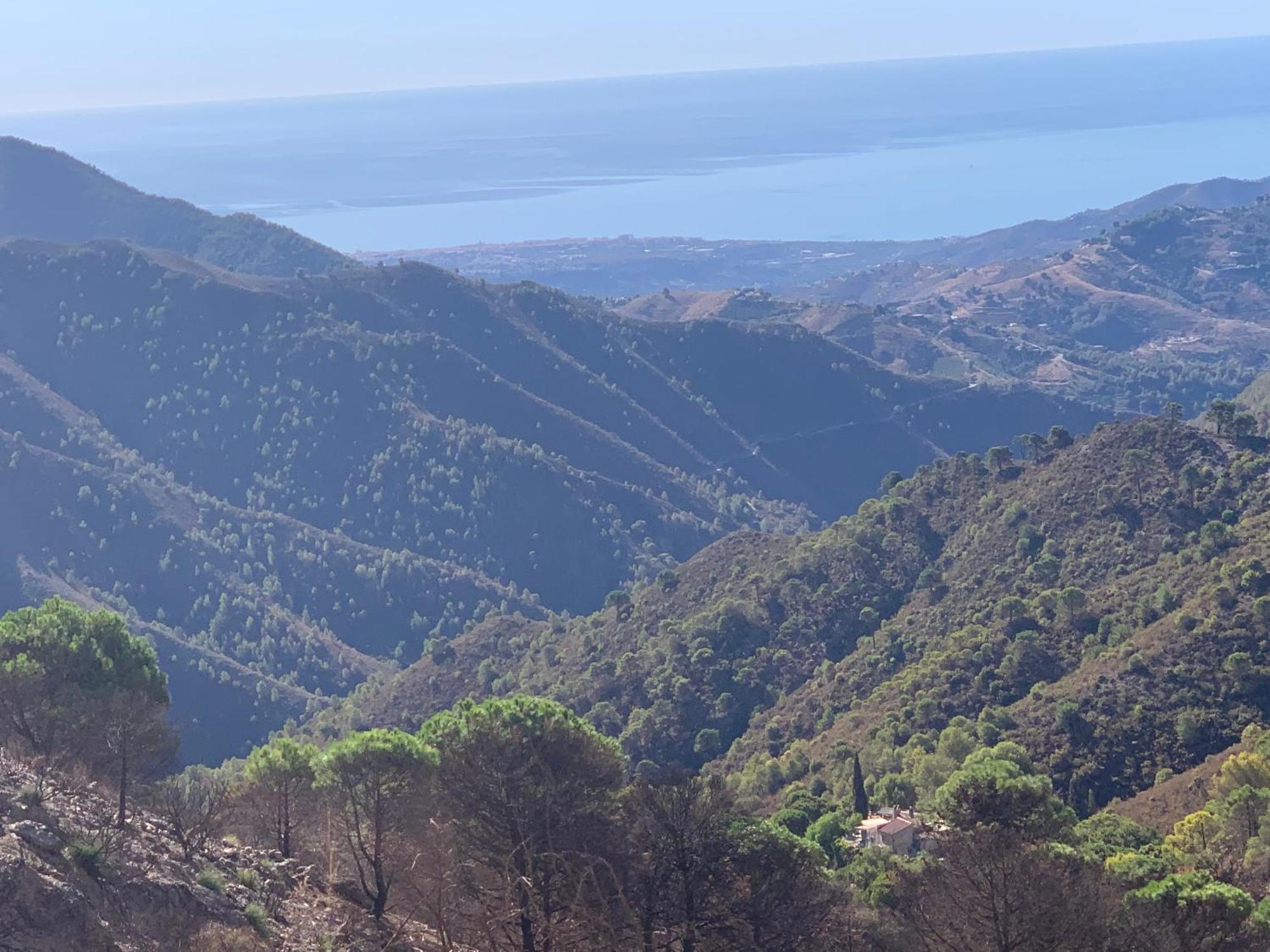 מאלגה Finca El Almendro מראה חיצוני תמונה