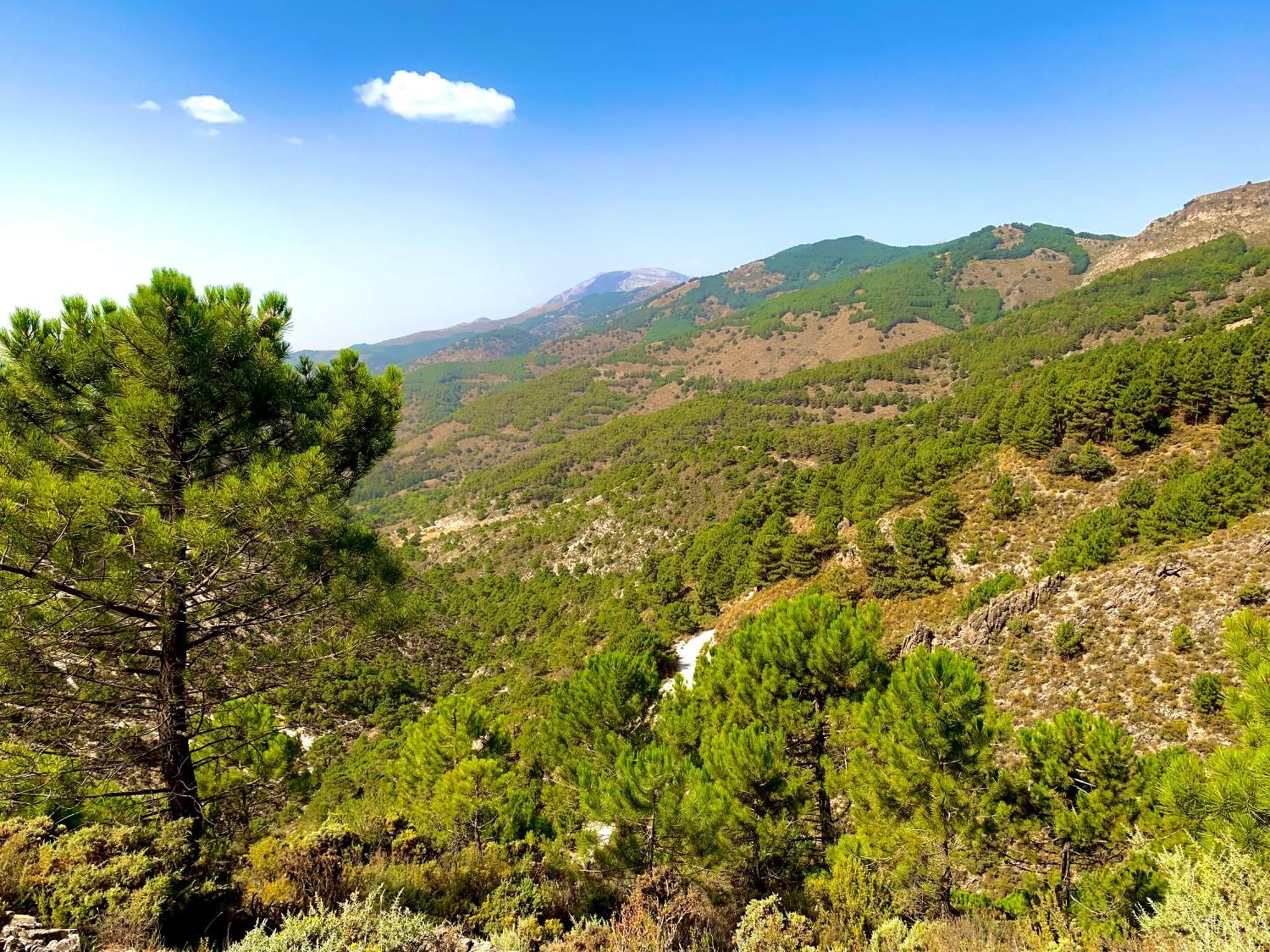 מאלגה Finca El Almendro מראה חיצוני תמונה