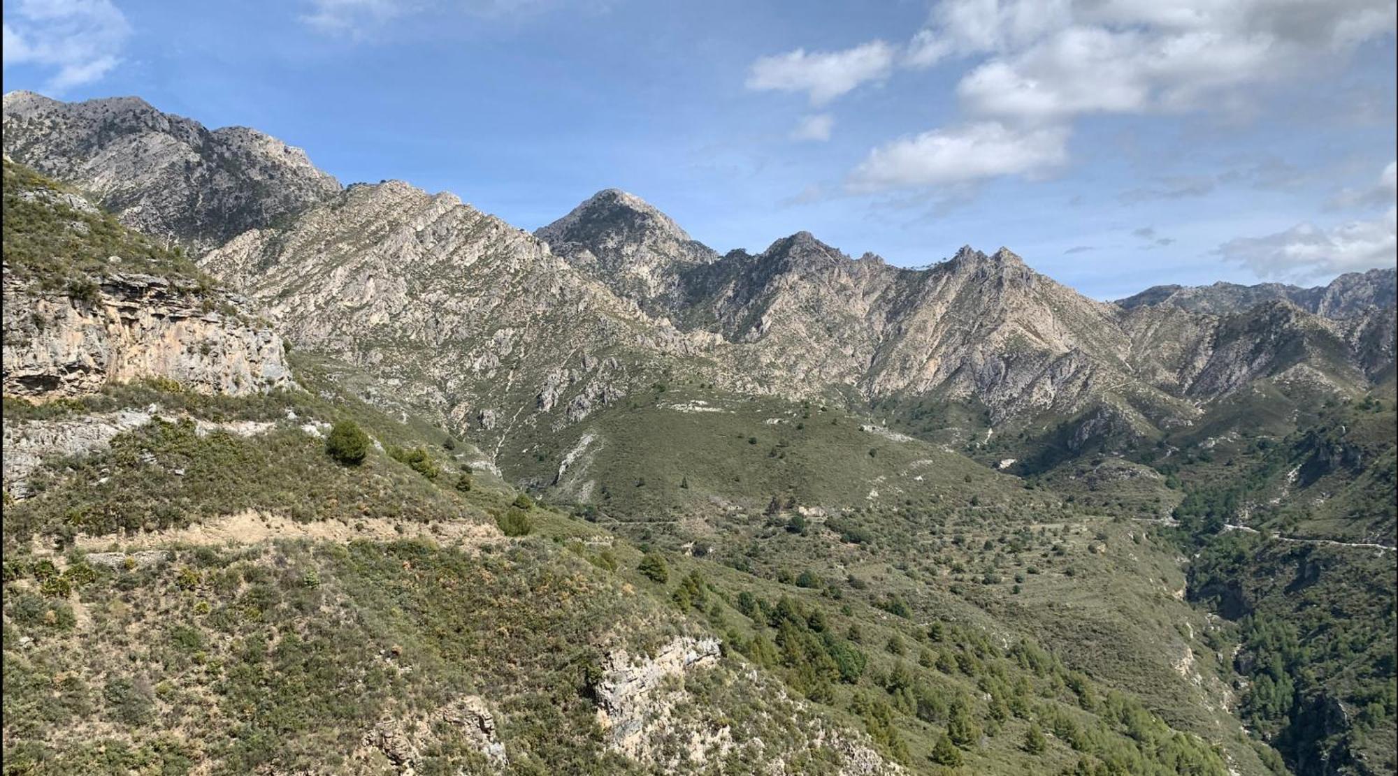 מאלגה Finca El Almendro מראה חיצוני תמונה